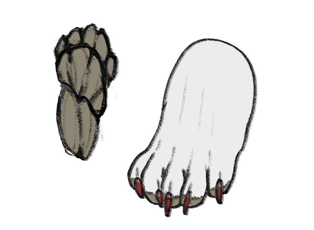 Hybrid paw and pawprint